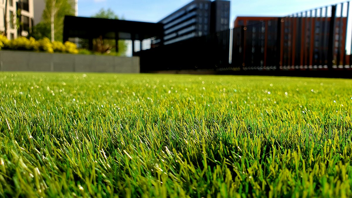 Outdoor areas around Park City homes where pests enter